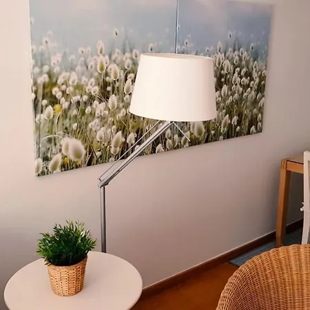 Luxurious City Center Flat Near The Waterfront 公寓