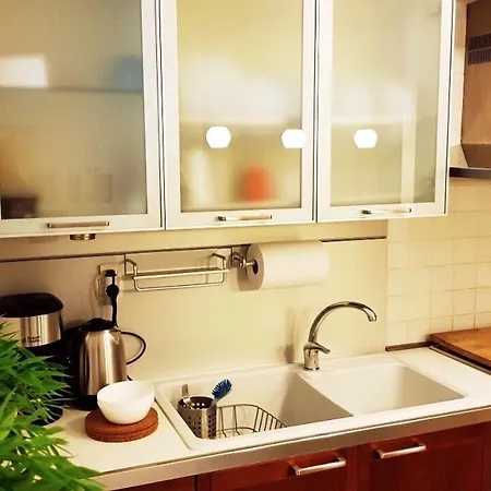 Luxurious City Center Flat Near The Waterfront 公寓 塞萨洛尼基